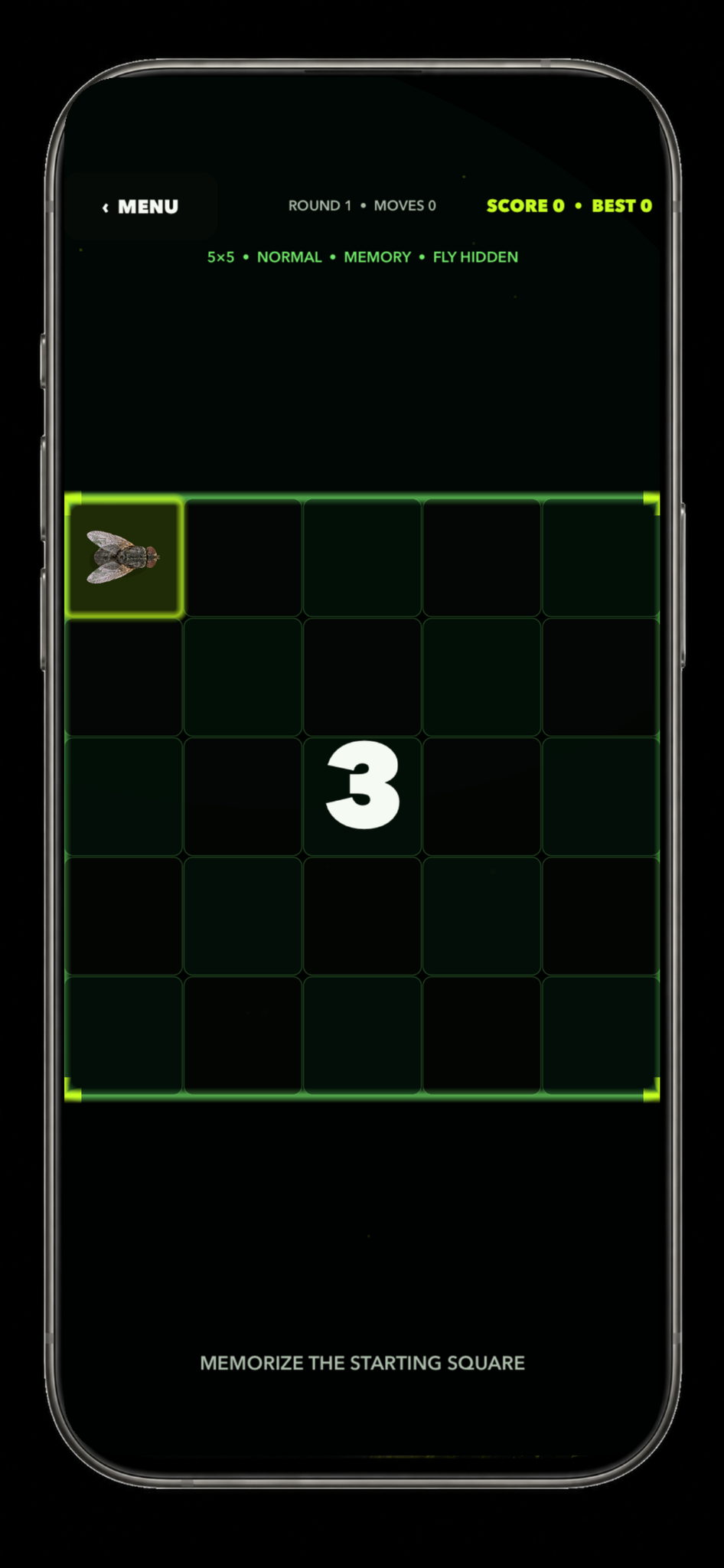 Flucking Fly memory training grid