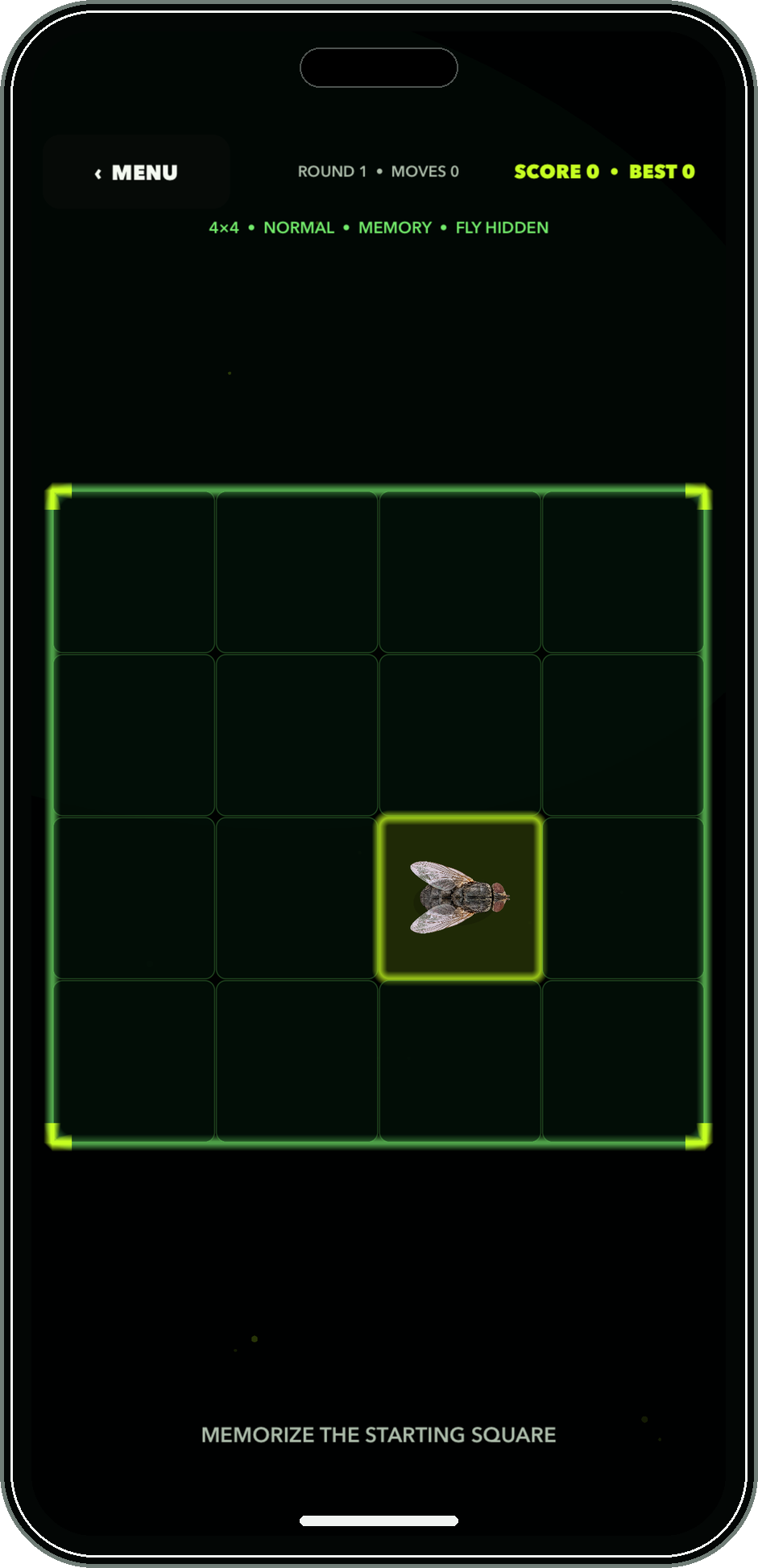 Flucking Fly English memory training grid