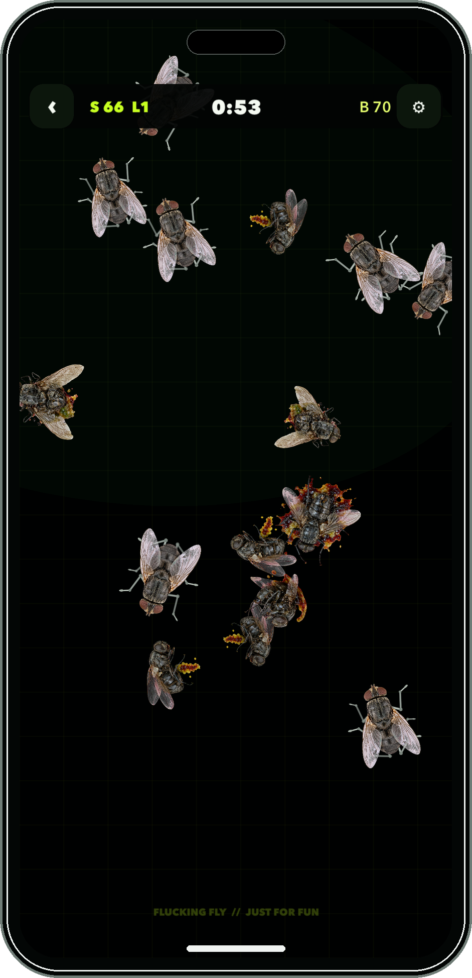 Flucking Fly English Just For Fun arcade gameplay